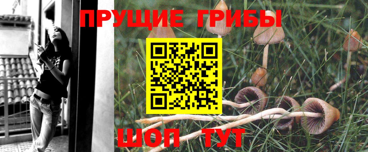 Галлюциногенные грибы ЛСД  цены   Псилоцибиновые грибы GOLDEN TEACHER  Нягань  Вход с VPN 
